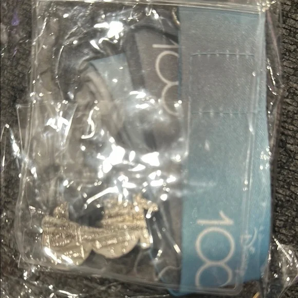 NEW DISNEYLAND 100 Years Mickey & Minnie 100th Anniversary Pin & Lanyard 2023